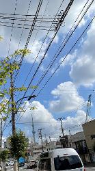 夏の炎天下　両国まで