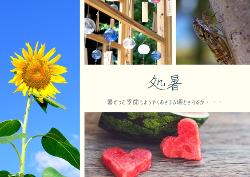 五感で夏の暑さ、涼しさを感じ。。。